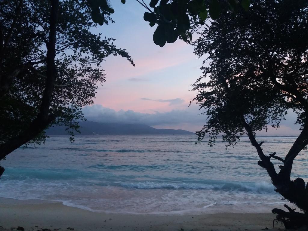 Cotton Tree Cottages Gili Trawangan Eksteriør billede